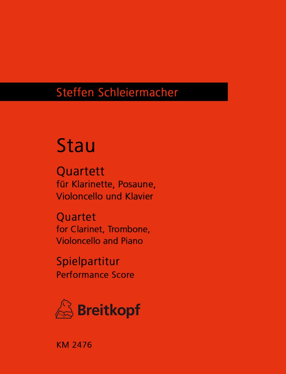 Steffen Schleiermacher - Stau - Cover