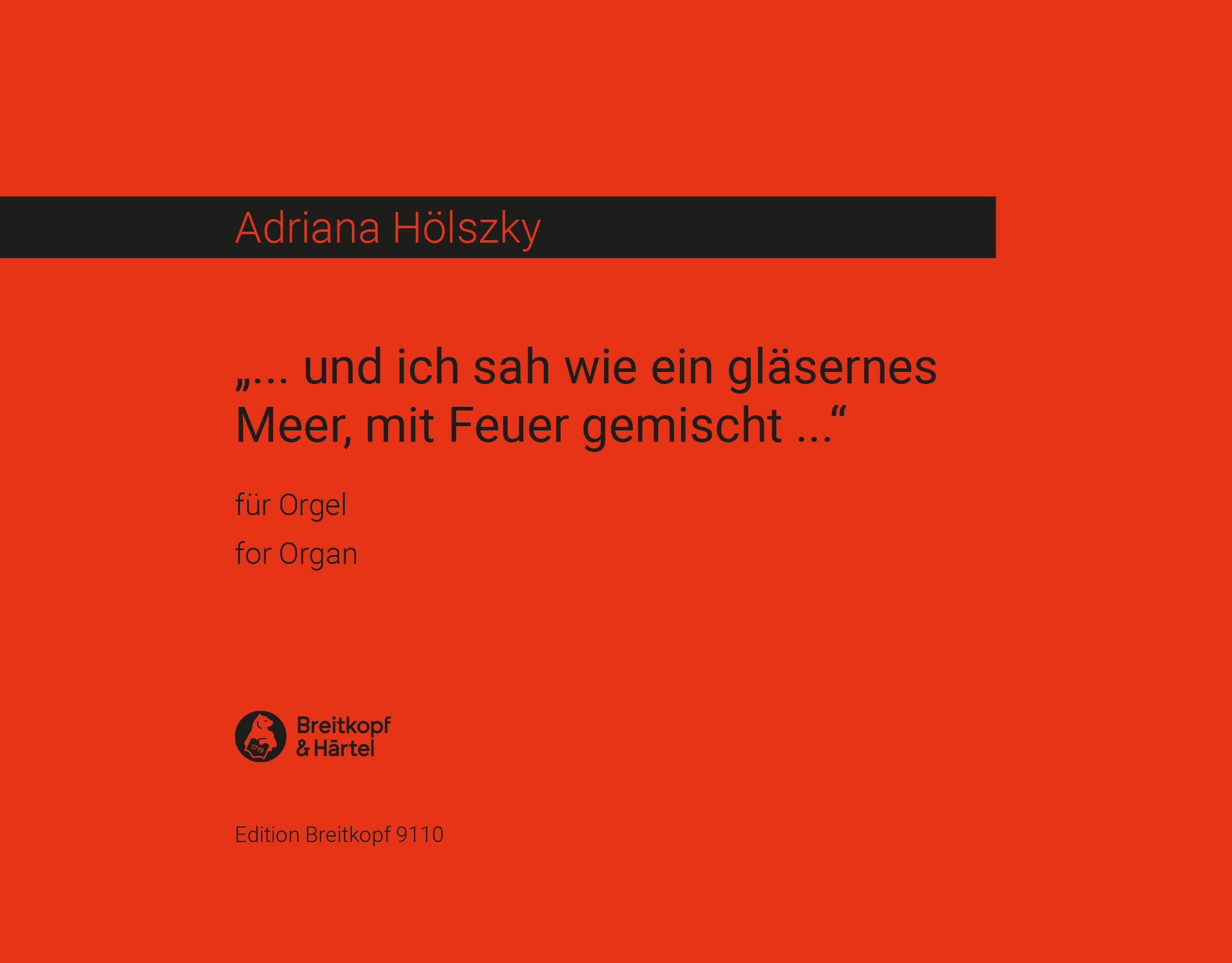 Adriana Hölszky - Und ich sah wie ein gläsernes Meer, mit Feuer gemischt … - Cover
