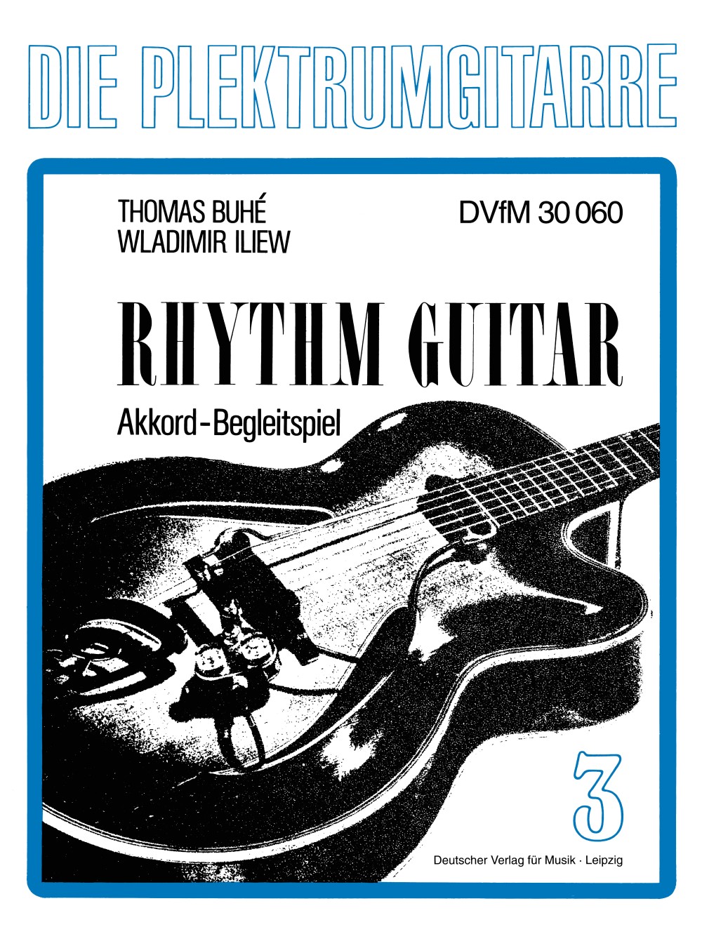 DV 30060 - Plektrumgitarre - Cover